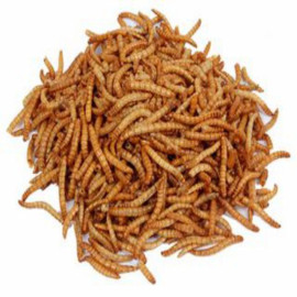 Harrisons Dried Mealworms...