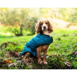 Henry Wag Teal Quilted Dog...