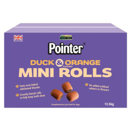 Pointer Duck & Orange...