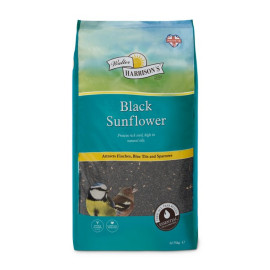 Harrisons Black Sunflower...