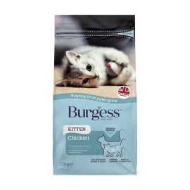 Burgess Kitten Chicken...